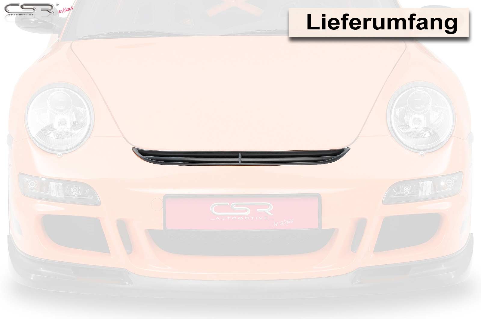 Gittereinsatz für Porsche 911/997 GT/3 911/997 GT/3 RS ZB019 Image 4