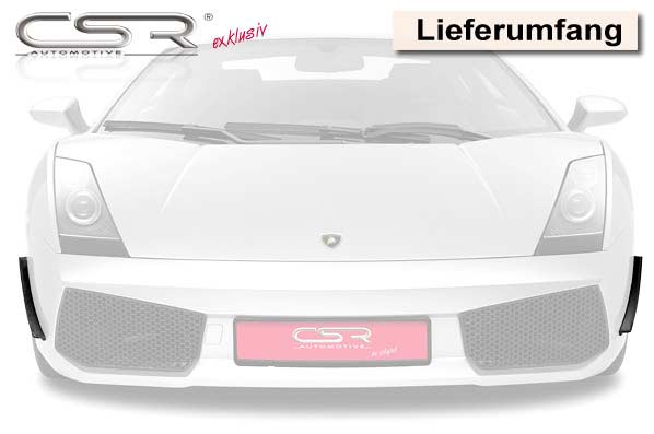 Performance Flaps für Lamborghini Gallardo FP001 Image 5